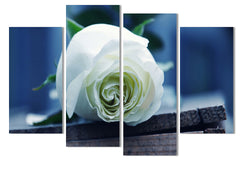 "WHITE ROSE ON A BOX"